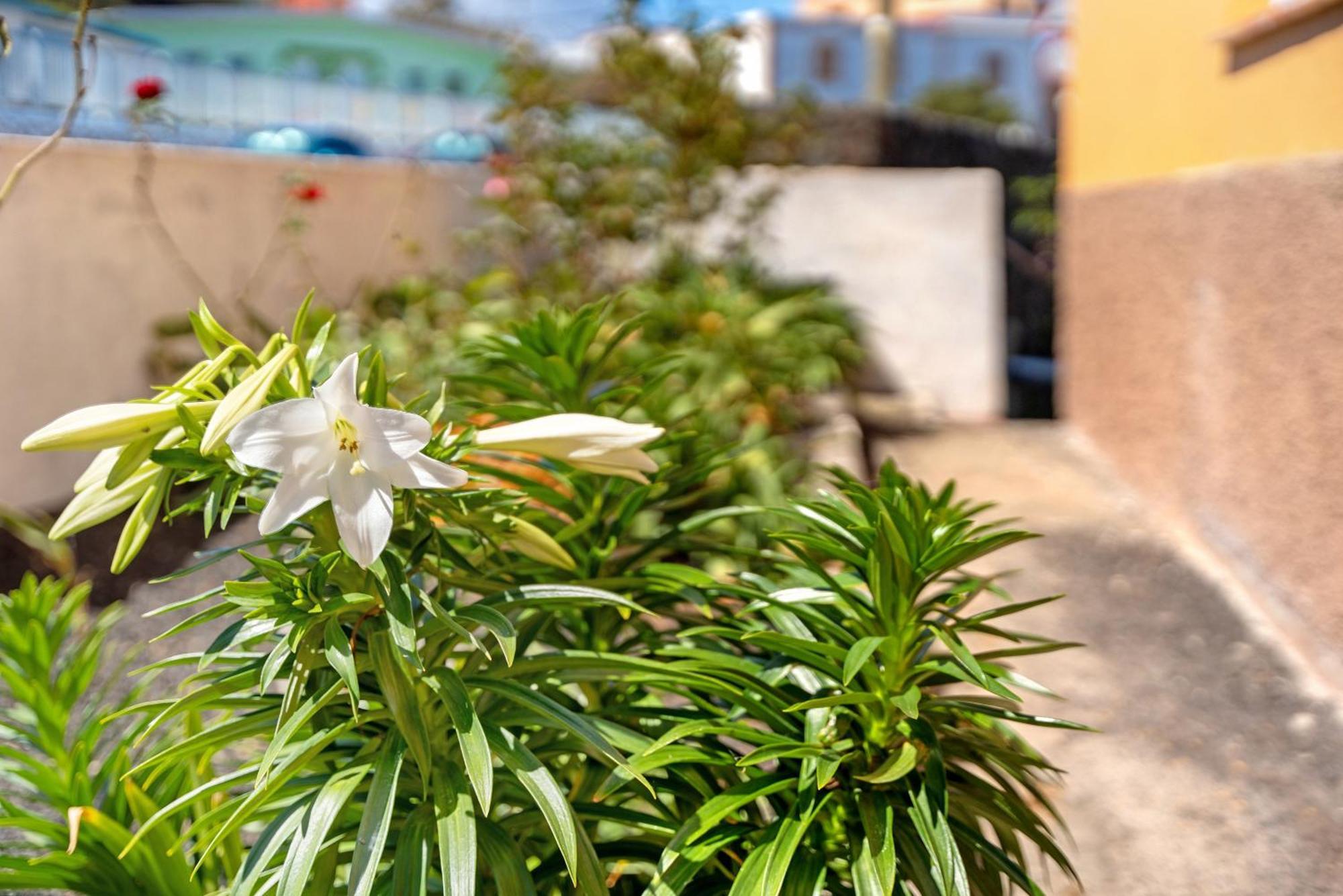 Holiday home Casa Maruca 1 *